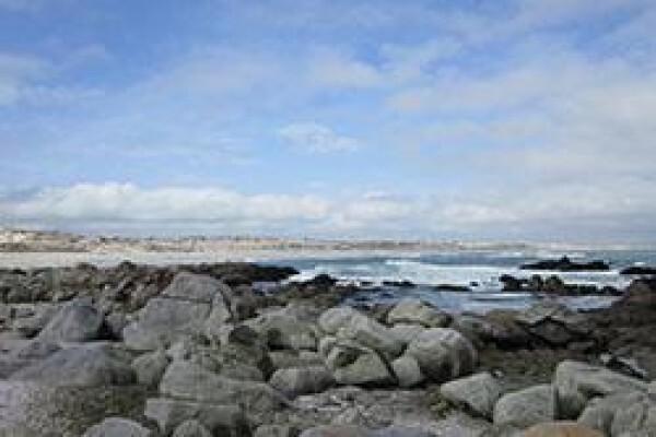 Mosaic Tours And Services