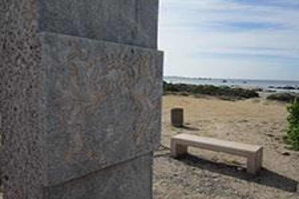 Mosaic Tours And Services
