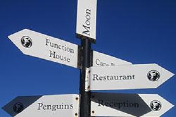 Mosaic Tours And Services