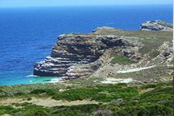 Mosaic Tours And Services