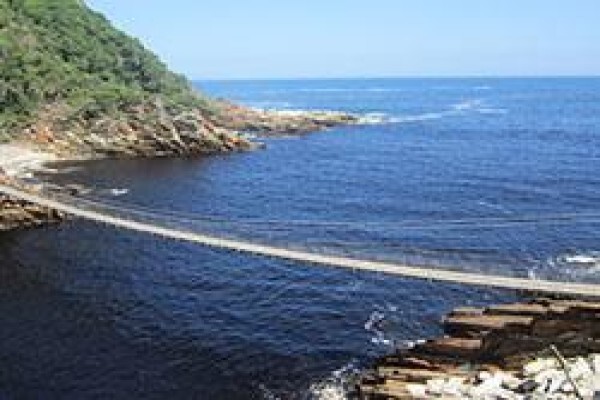 Mosaic Tours And Services