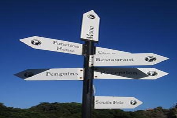 Mosaic Tours And Services