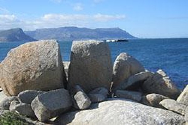 Mosaic Tours And Services