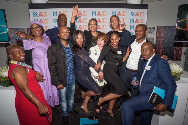 National Arts Council Of South Africa