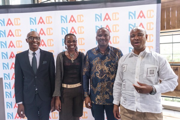 National Arts Council Of South Africa