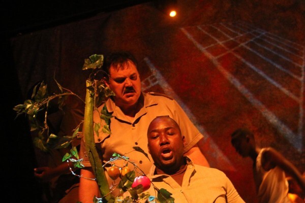 National Arts Council Of South Africa
