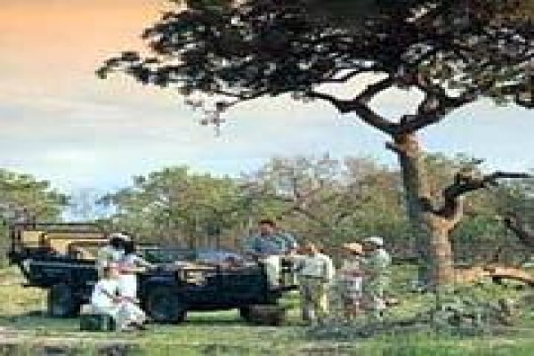 Nature Workshop