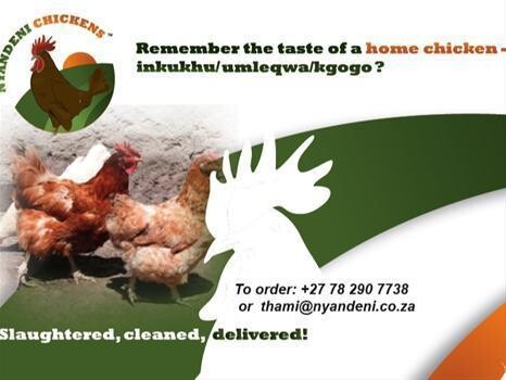 Nyandeni Chicken