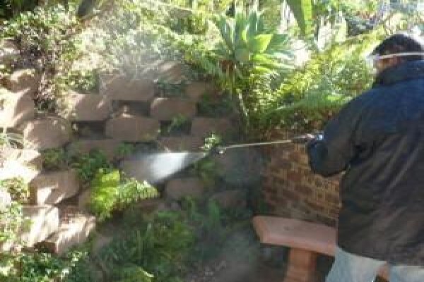 Oasis Cleaning Solutions