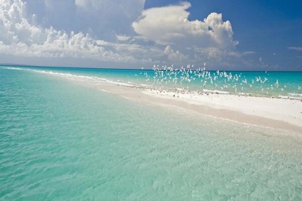 Private Ocean Islands