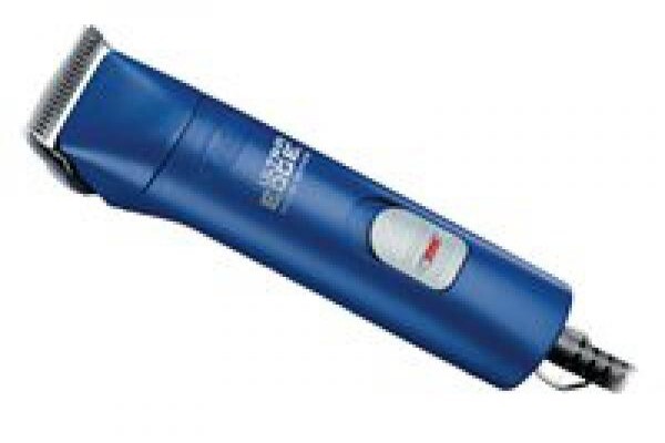 Proedge