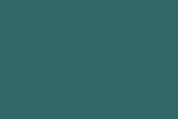 Professional Cv Services