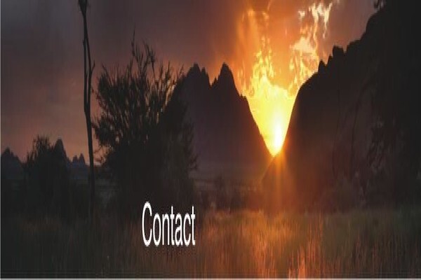 Polo Resources