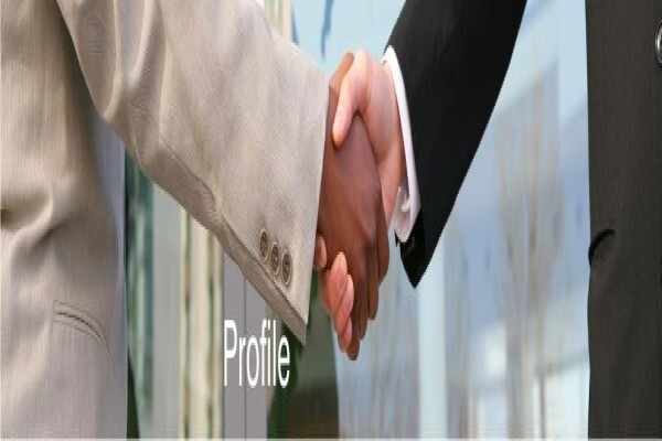 Polo Resources