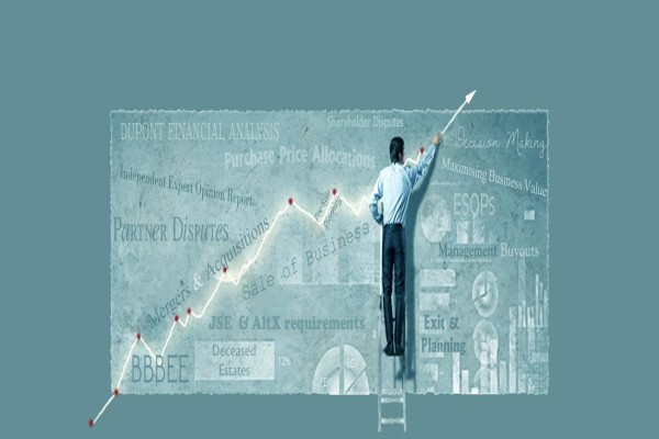 Business Valuation Advisors
