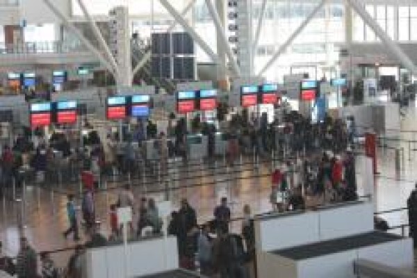 Buzz Around Tours & Transfers