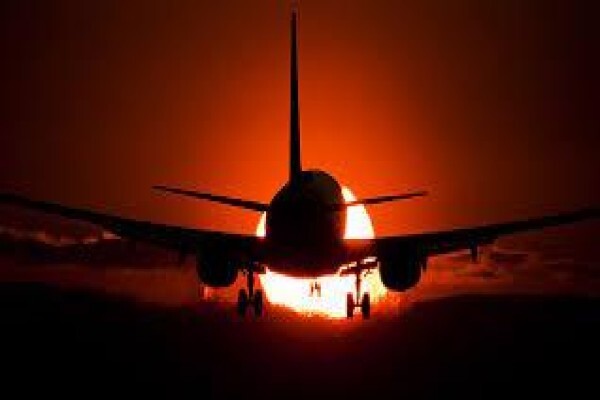 Buzz Around Tours & Transfers