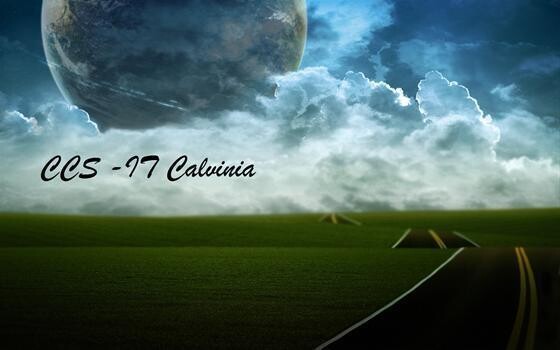 Calvinia Computer Services