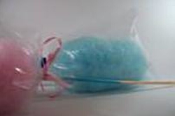 Candy Floss Company