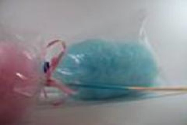 Candy Floss Company