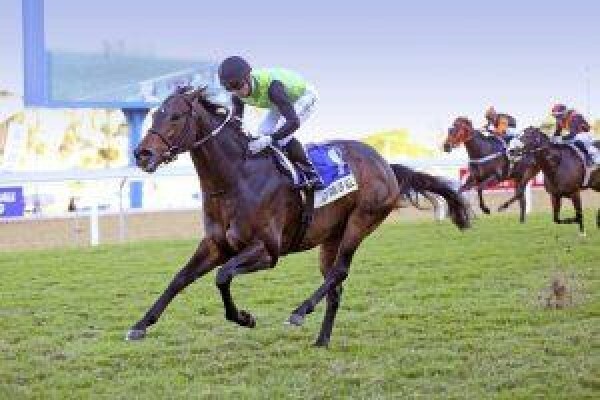 Cape Breeders