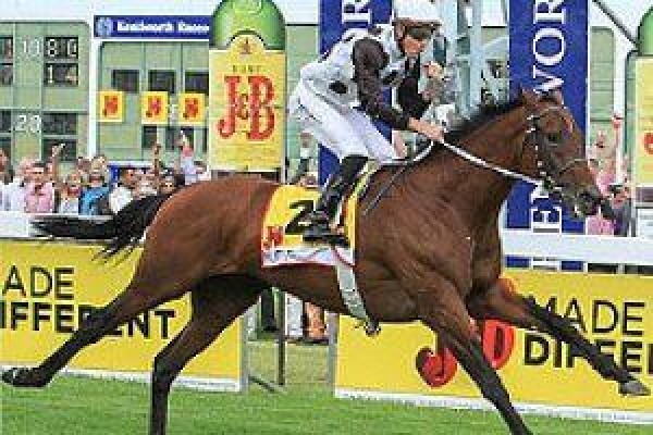 Cape Breeders