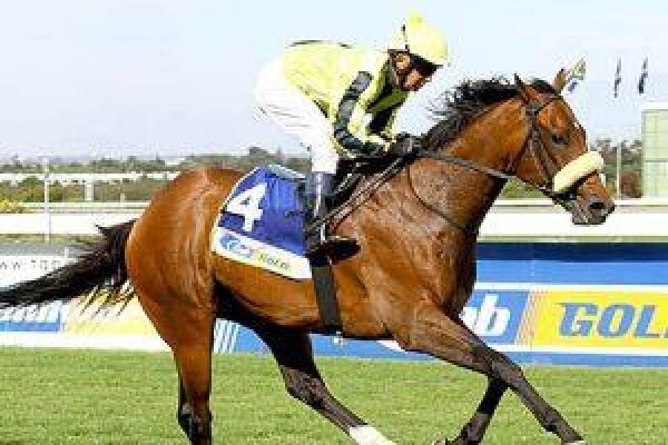 Cape Breeders