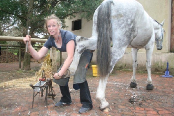 Cape Farriers Service