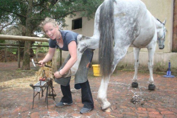 Cape Farriers Service