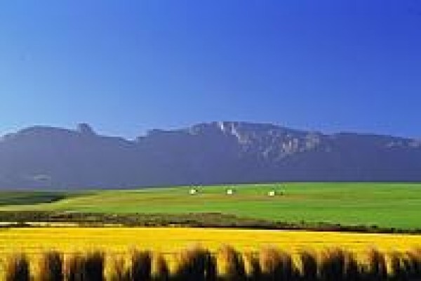 Cape Holiday Services