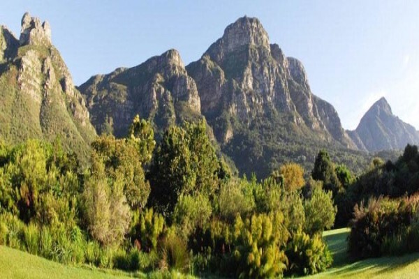 Cape Insights