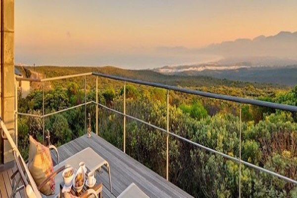 Cape Insights