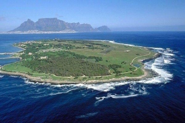 Cape Insights