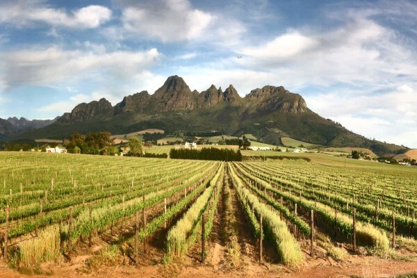Cape Medley Tours And Travel