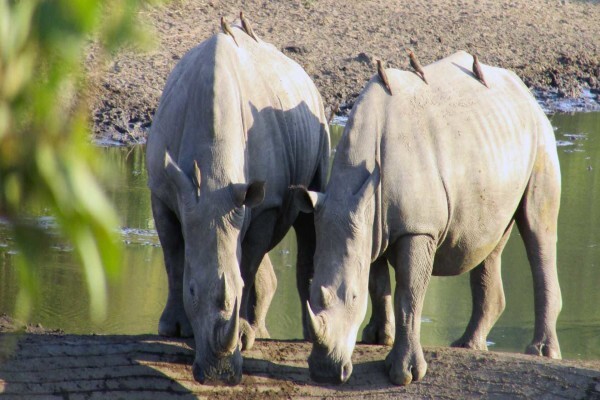 Cape Medley Tours And Travel