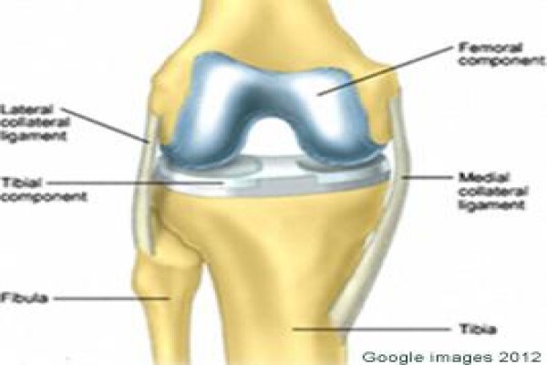 Capehipandknee