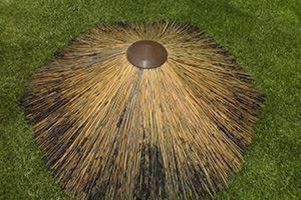 Cape Reed Ceilings