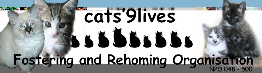 Cats' 9 Lives