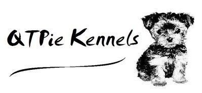 Qtpie Kennels