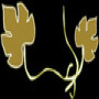 Vines 2 Wine