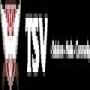 Tsv
