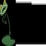 Wweco-Route Environmental Consultancy