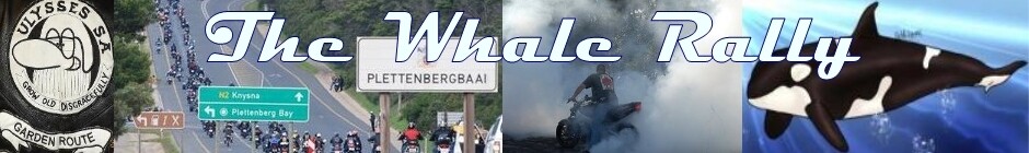Whale Rally