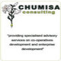 Chumisa Consulting