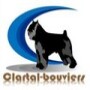 Clartal-Bouviers
