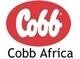 Cobb Africa