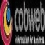 Cobweb Information South Africa