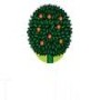 Thornlands Transport (Pty) Ltd