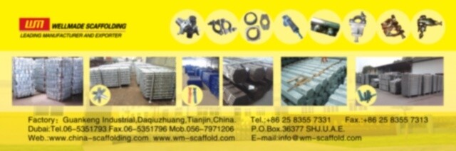 Tianjin Wellmade Scaffold CO.,LTD