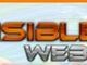 Visible Websites